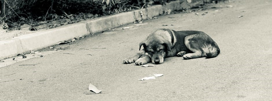 Manželé z lavičky - den druhý