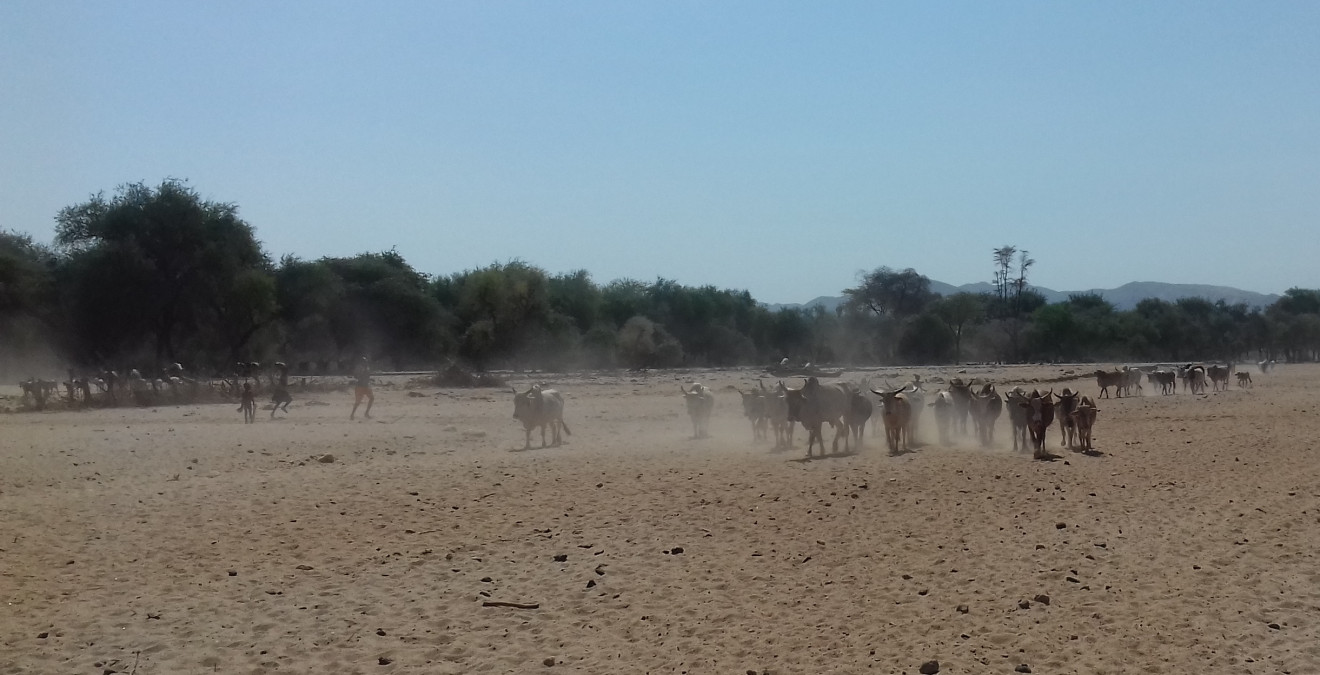 Podpora zelené energie v Africe