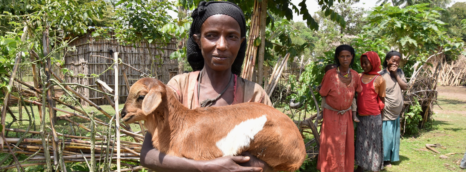 Darujte pod stromeček vázu od Velčovského nebo Pánkův batoh. E-shop s kozami slaví 10 let