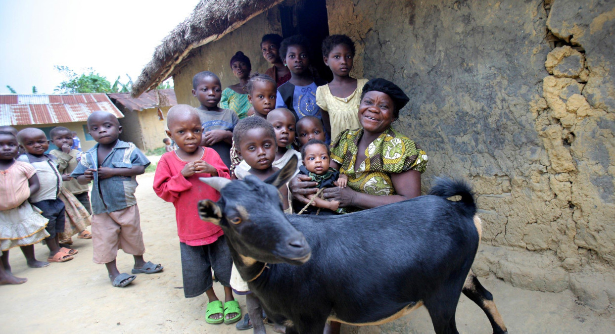 Lidé z Chomutova poslali 118 koz do Afriky a koupili knihy českým dětem. Skutečný dárek pomáhá v krajích Česka i ve světě