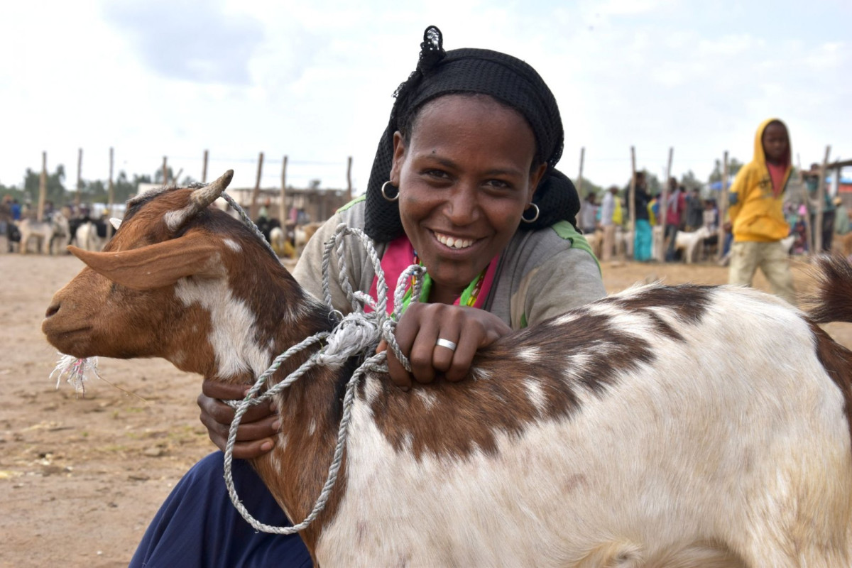 Lidé na Olomoucku poslali 817 kuřat do Afriky a koupili knihy českým dětem. Skutečný dárek pomáhá v krajích Česka i ve světě.