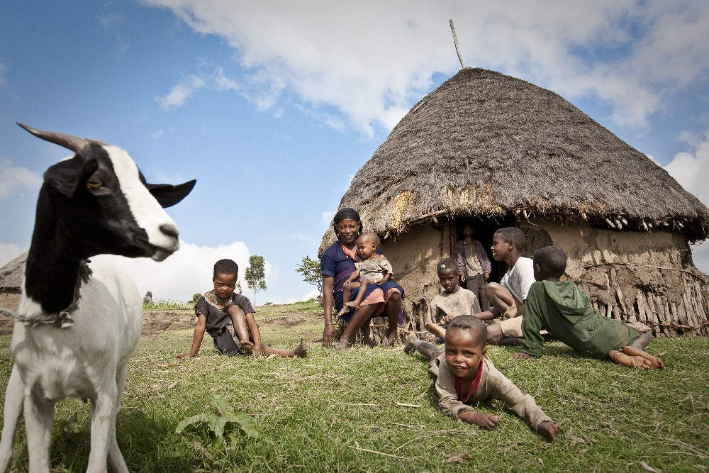 Skutečné dárky pomáhají již deset let
