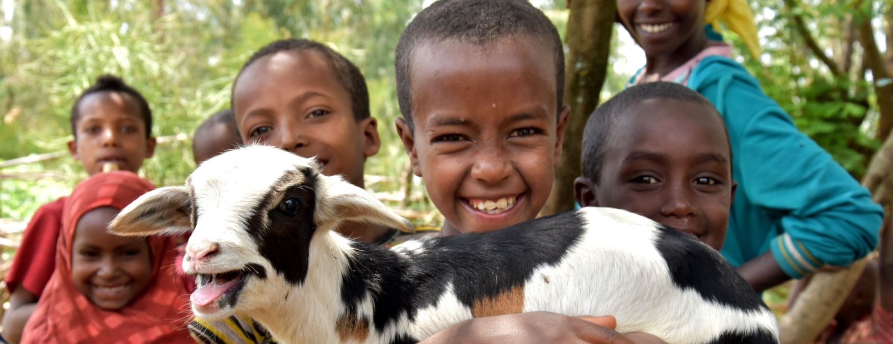 Češi loni nakoupili rekordní počet koz a dalších dárků z charitativního e-shopu Člověka v tísni. Darovali téměř 22 milionů korun!