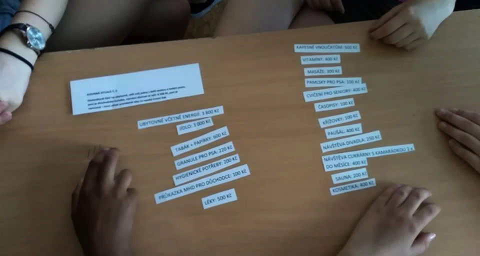 Peer program
