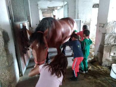 Výlet na koňský hřbet