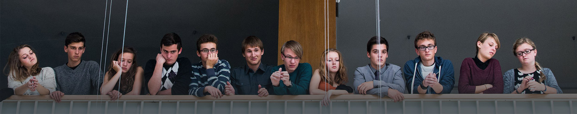 Průzkumy a šetření