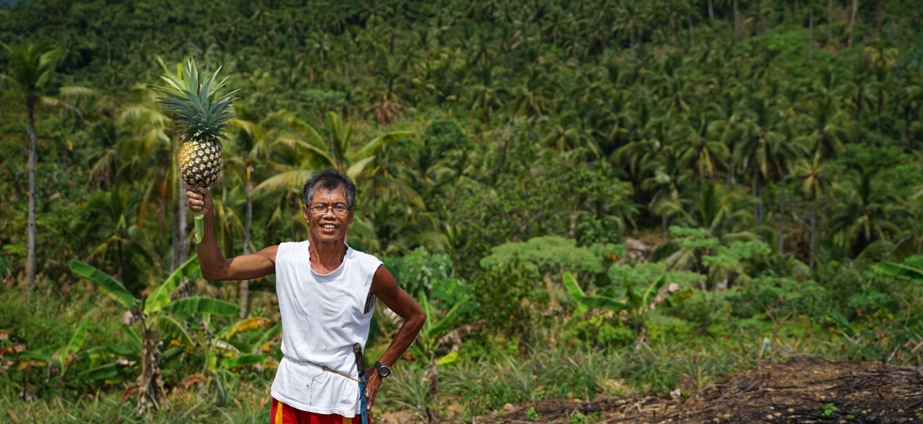 Vzdělávácí program otevřel sklíčenému pěstiteli ananasů na Filipínách nové obzory