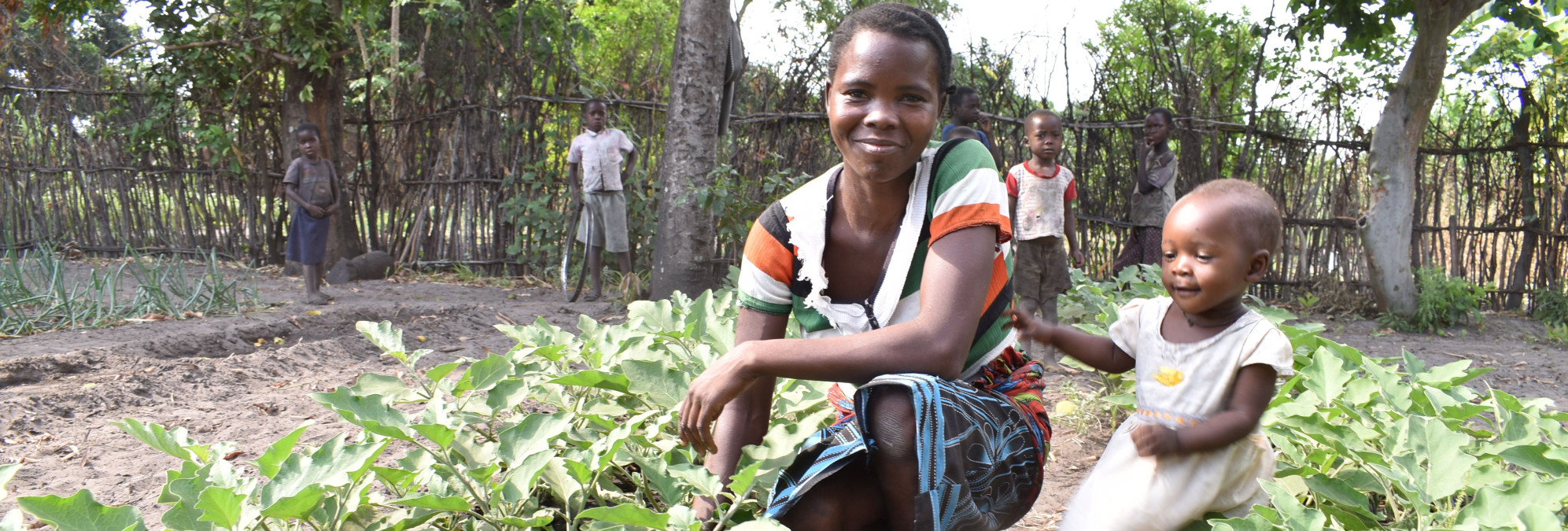 Ochrana klimatu pomůže snížit počet hladovějících lidí, říká studie Global Hunger Index