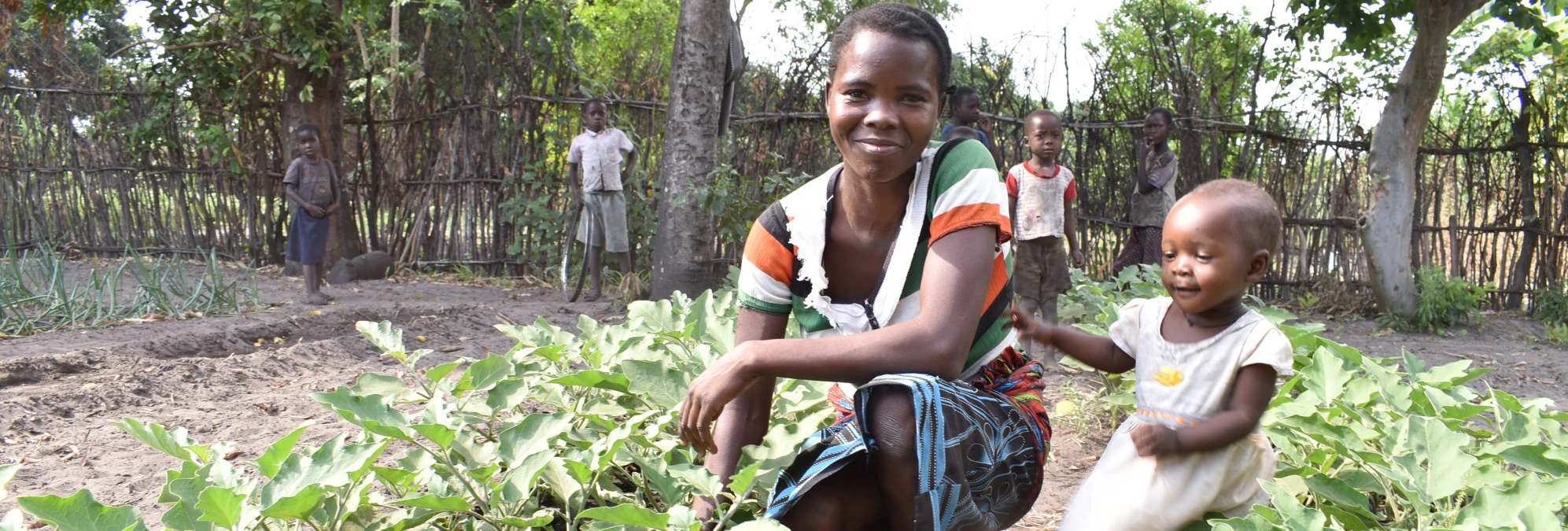 Ochrana klimatu pomůže snížit počet hladovějících lidí, říká studie Global Hunger Index
