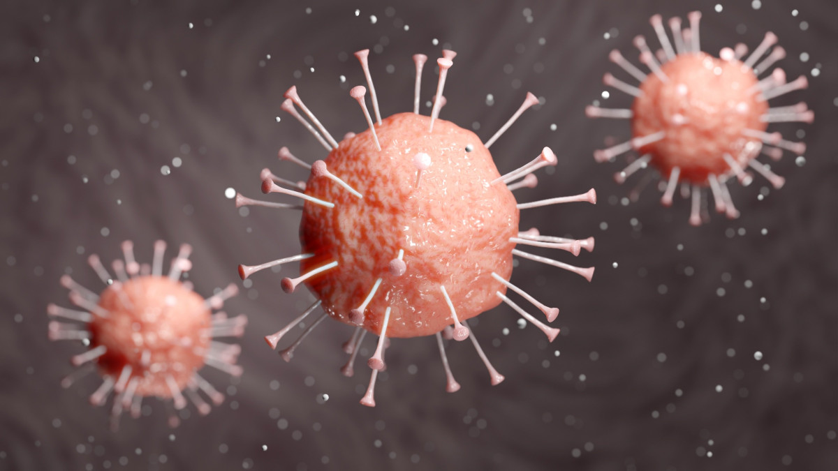 Co děláme v reakci na epidemii? Pomáháme lidem v tísni a podporujeme vzdělávání! Většinu programů jsme přizpůsobili situaci...