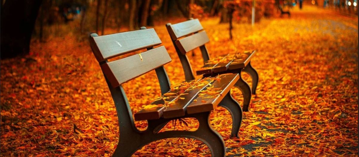 Manželé z lavičky