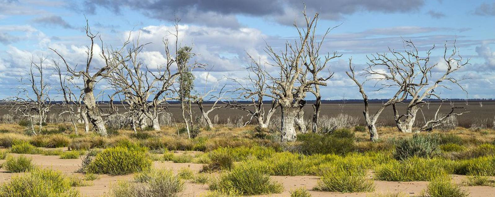 Máme v Česku dost informací o klimatické krizi? Změna klimatu ve světle pandemie COVID-19