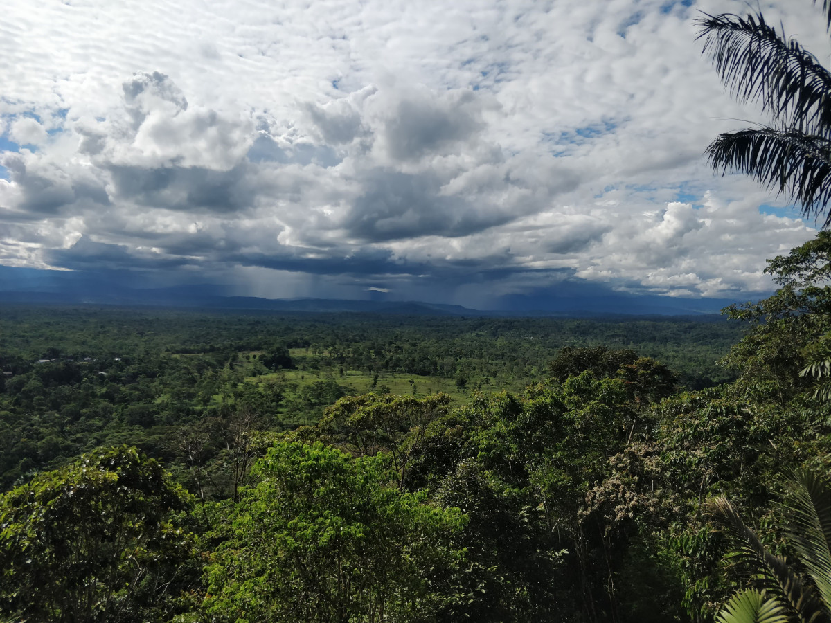 COVID-19 a domorodé obyvatelstvo Ekvádoru