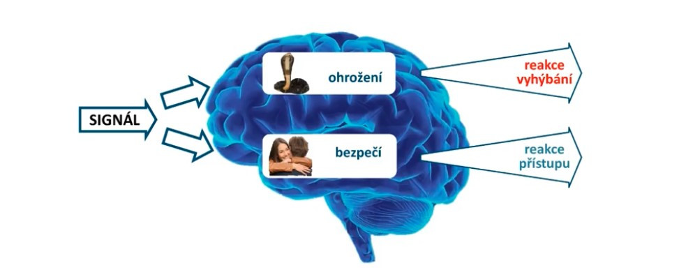 Jak na nezraňující komunikaci? Podívejte se na webináře se Zdenkom Matulou