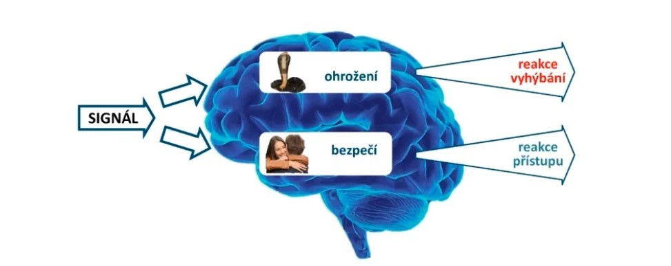 Jak na nezraňující komunikaci? Podívejte se na webináře se Zdenkom Matulou