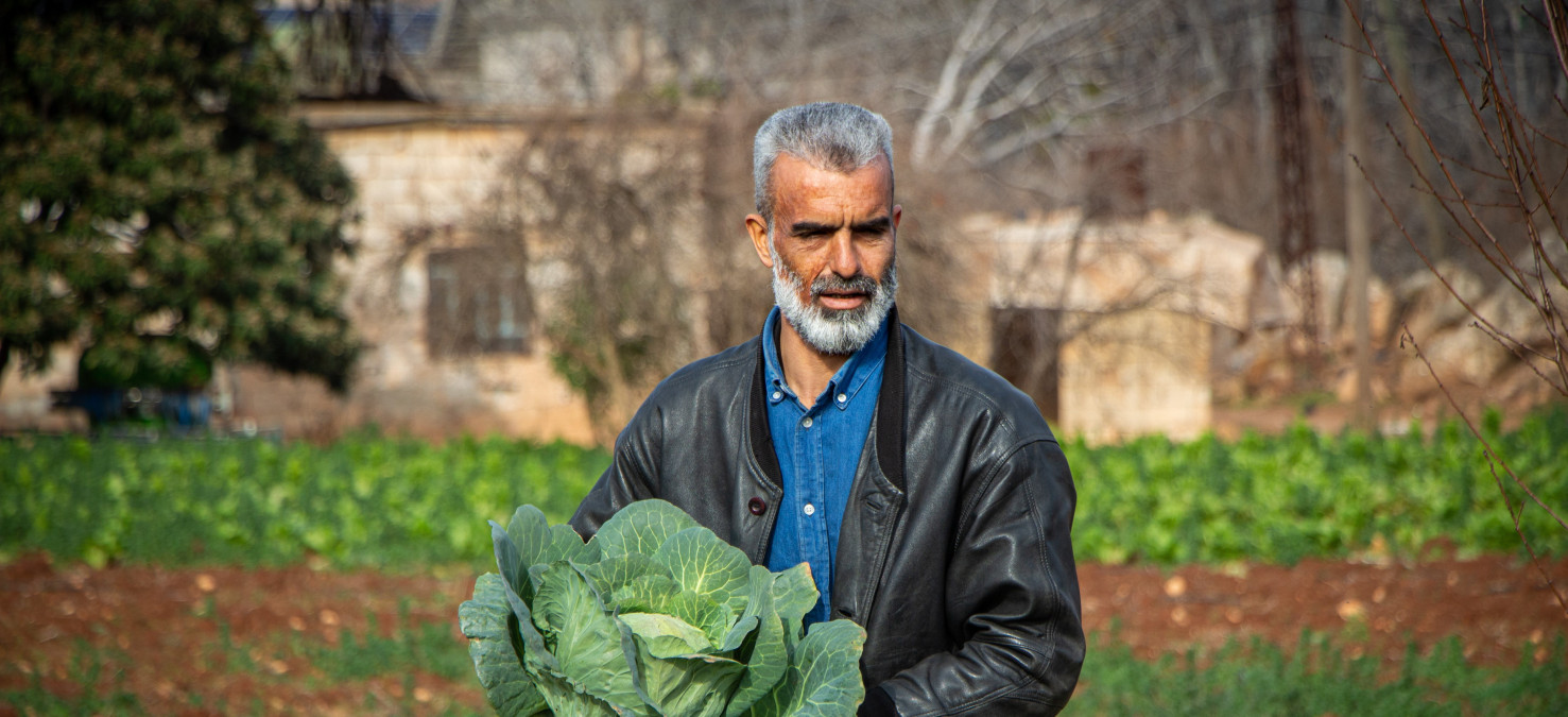 Podporujeme syrské zemědělce a snažíme se předejít další krizi v Sýrii