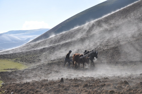 Po suchu sužovala afghánské zemědělce drsná zima, ČvT jim pomáhalo překlenout krizi