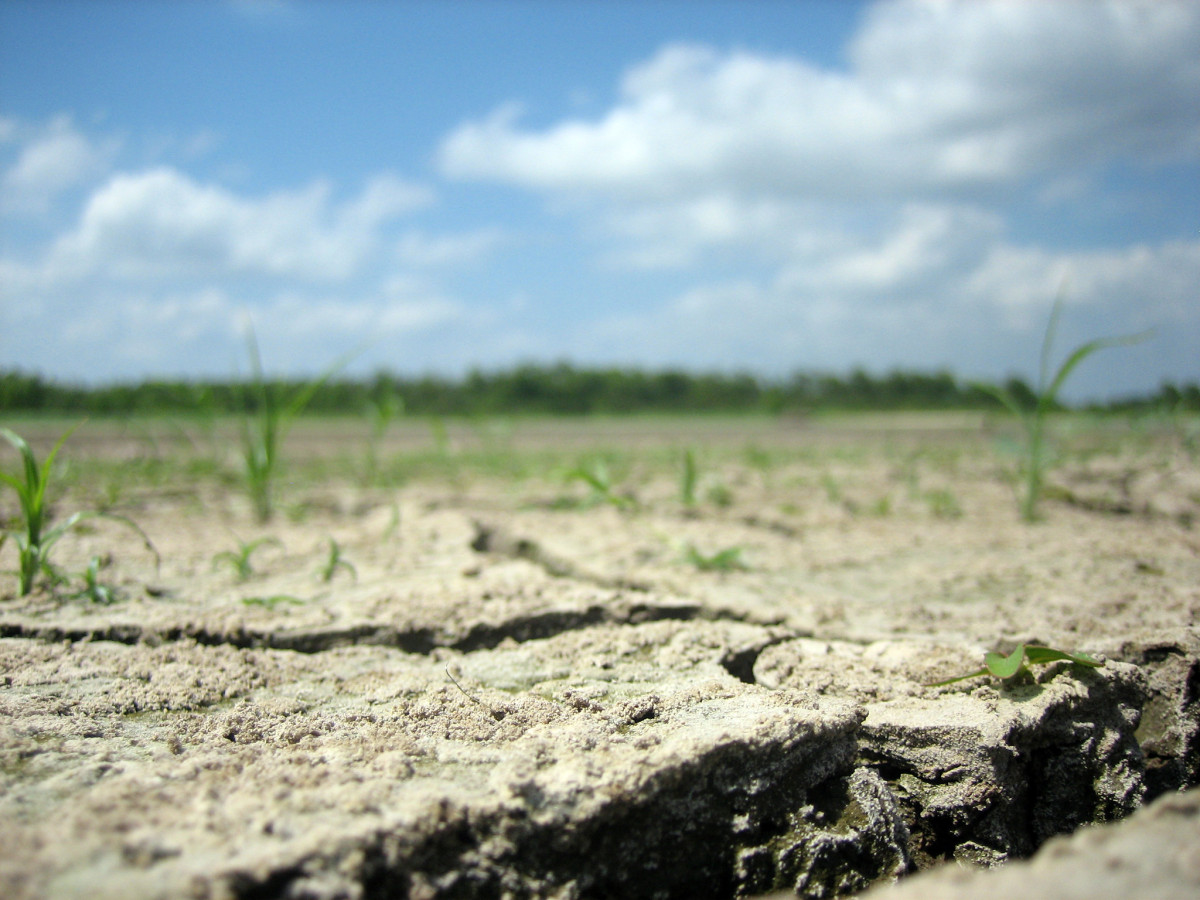 Špatné hospodaření s půdou prohlubuje dopady změny klimatu v Česku. Inspiraci můžeme najít v afrických zemích