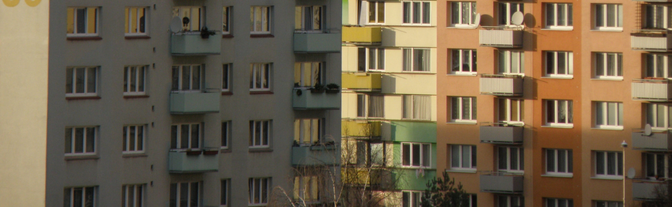 Příběh rodiny pana Petra: Od doučování až k novému bydlení