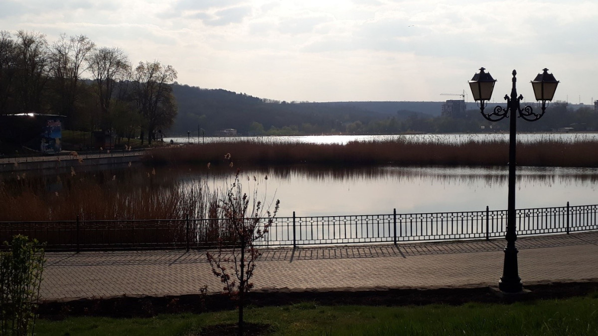 Volunteering during a pandemic