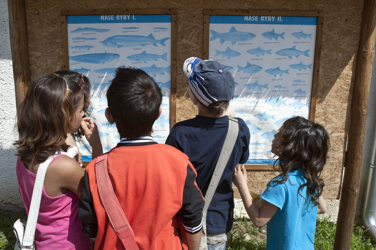 Tak dlouho se chodí se džbánem pro vodu, až voda dojde