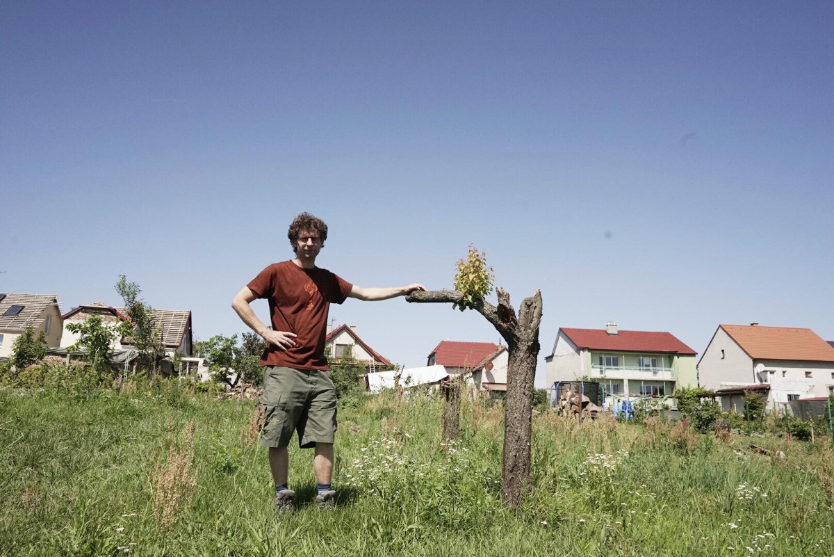 Můž stojící v rozpáleném létě na své zahradě, která je zničená tornádem.
