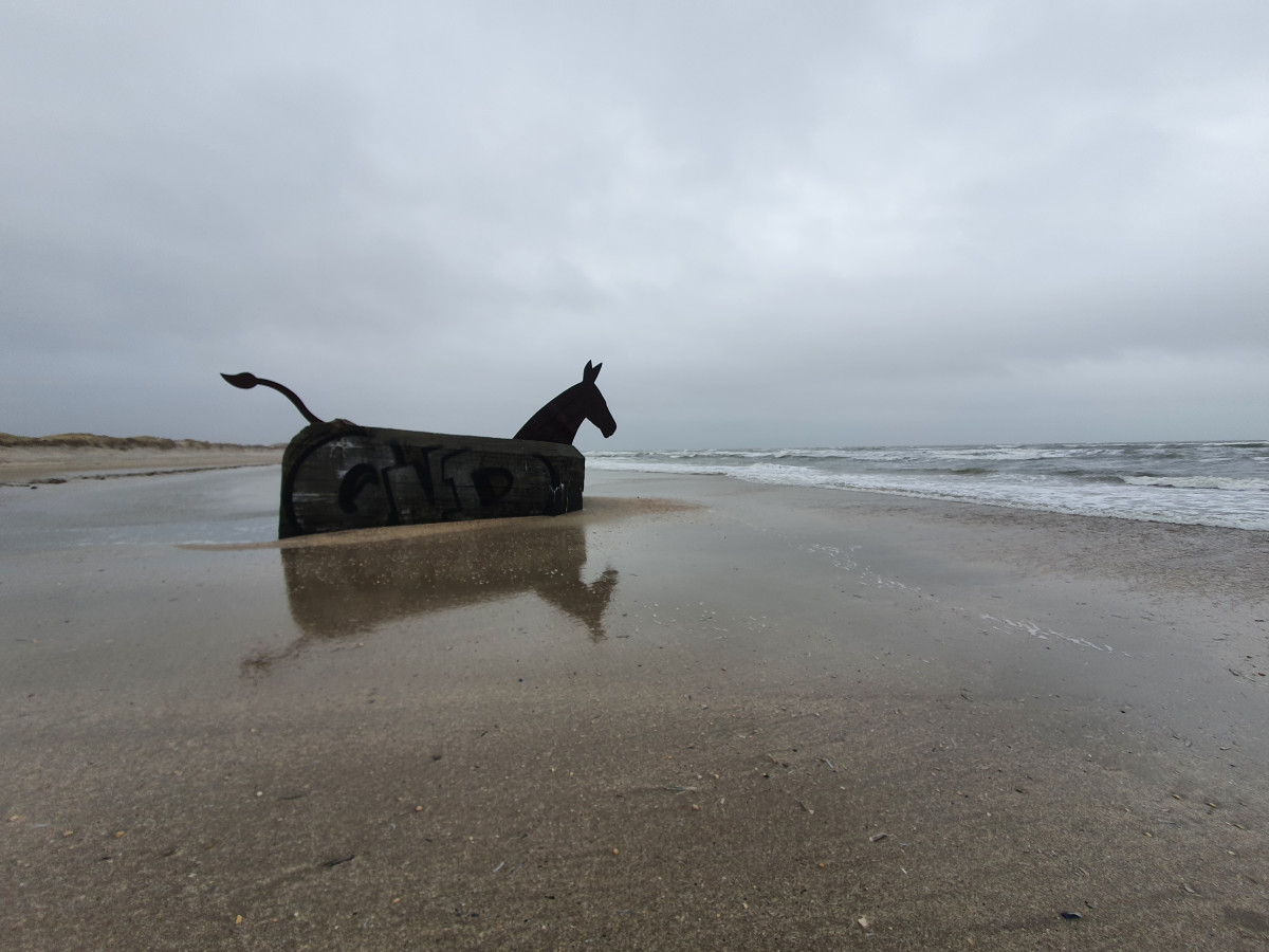 Nejlíp doma - čtyřdílný podcast Programu migrace