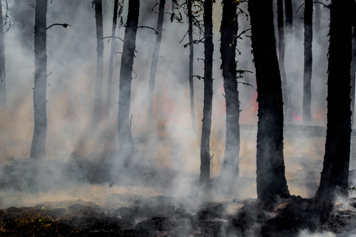 Známe další riziková místa, kde může hořet stejně jako u Hřenska, říká Jakub Zelený, environmentální poradce Člověka v tísni