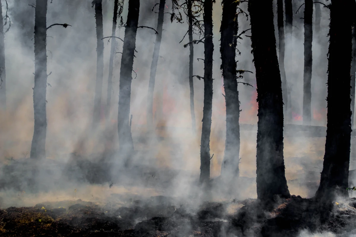 Známe další riziková místa, kde může hořet stejně jako u Hřenska, říká Jakub Zelený, environmentální poradce Člověka v tísni