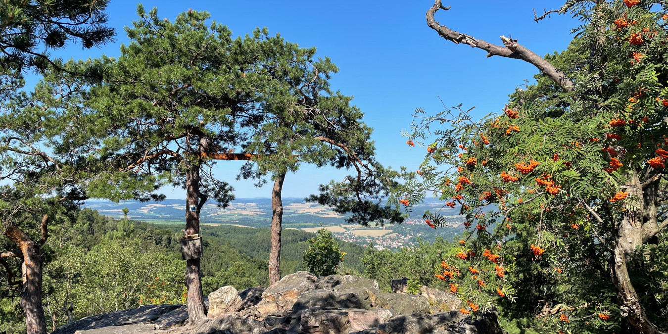 Kariérní poradenství: Výlet do Brd nebo návštěva Kunsthalle jsou zážitky, které mohou posunout mladé lidi o hodně dál