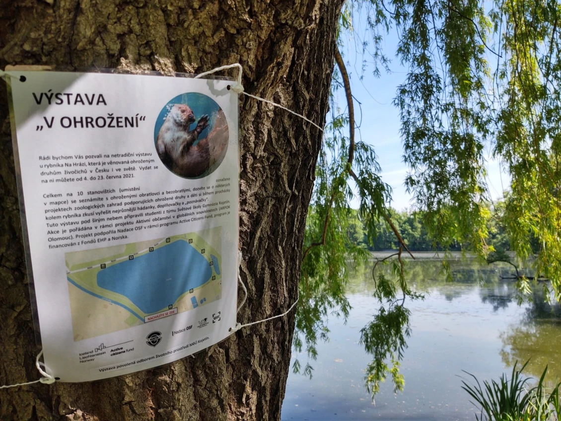 Tým Světové školy již několikrát připravil výstavu na stromech k různým globálním tématům.