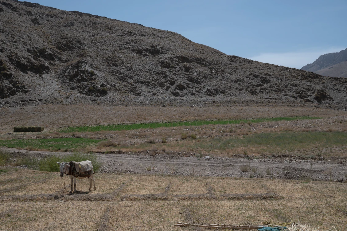 Afghánští zemědělci čelí celé řadě problémů souvisejících se ztrátou vody ve venkovských oblastech.